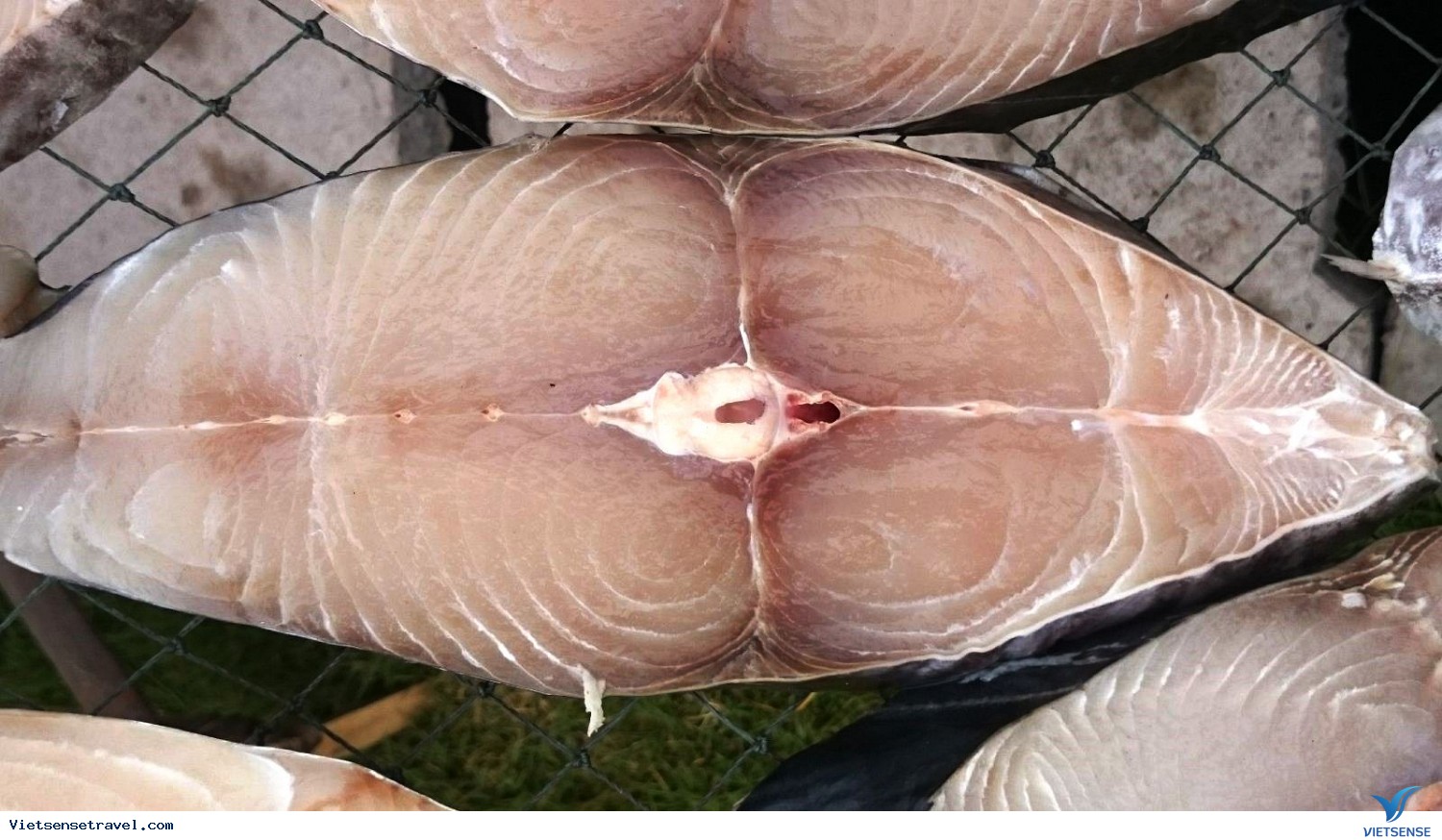 Cá thu một nắng Cá thu một nắng