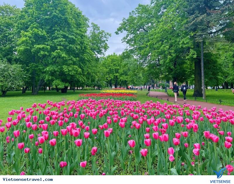 Các công viên ở Nga tràn ngập sắc hoa  rực rỡ vào mùa xuân