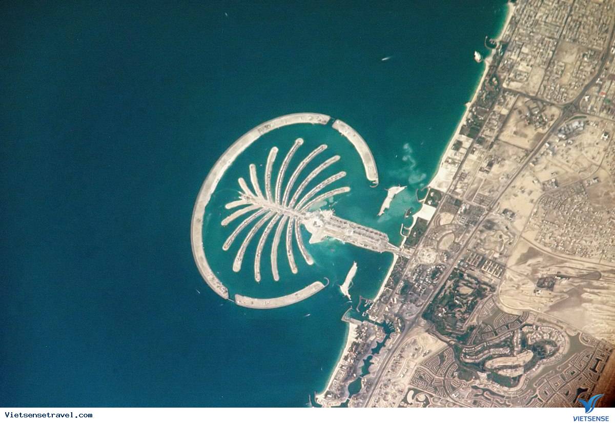  Quần đảo cọ Palm Dubai