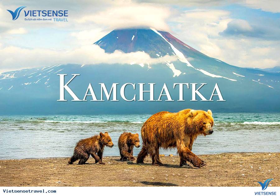 Gấu nâu ở bán đảo Kamchatka