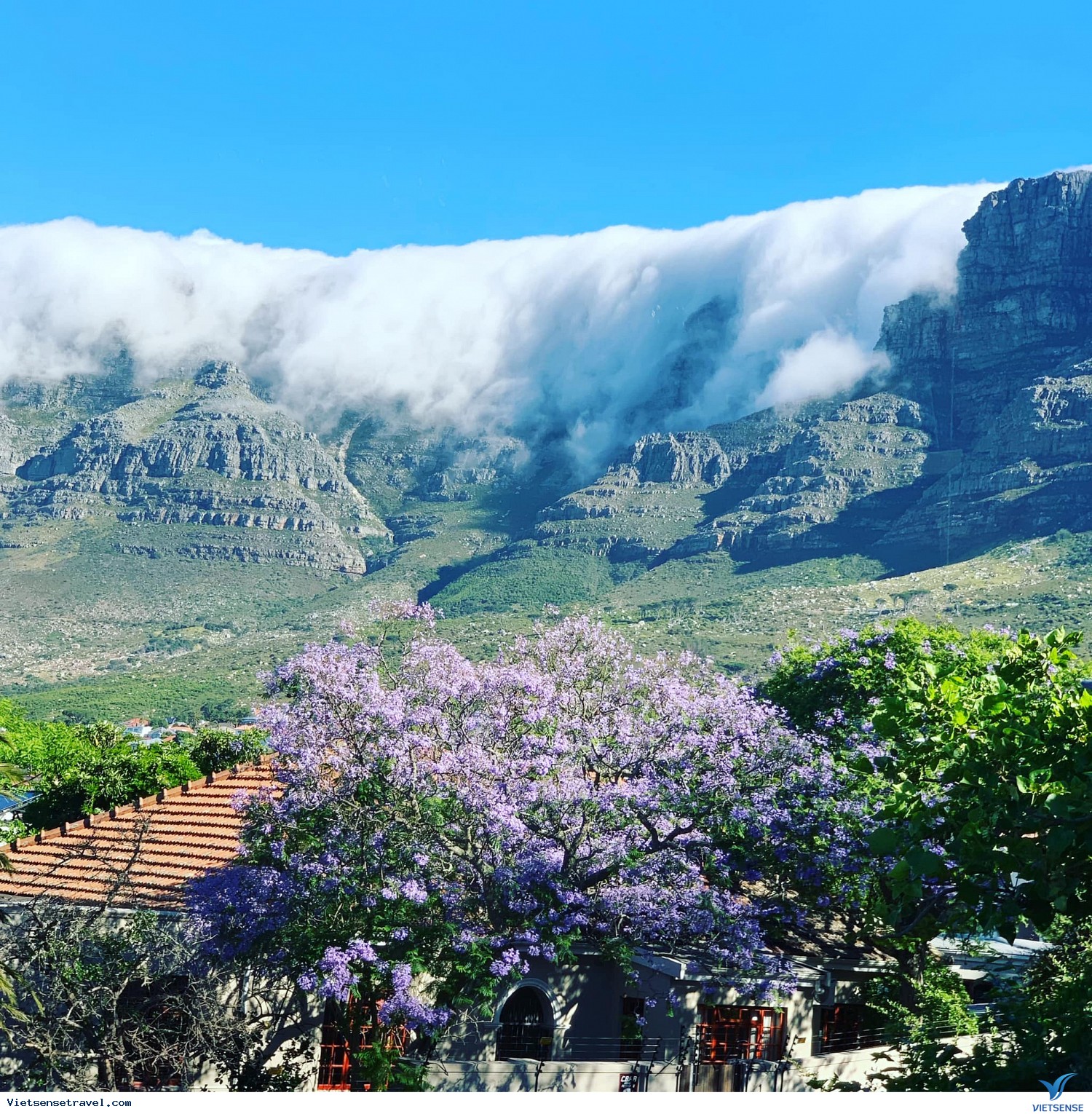 Cape Town - Tham quan vùng đất rượu vang