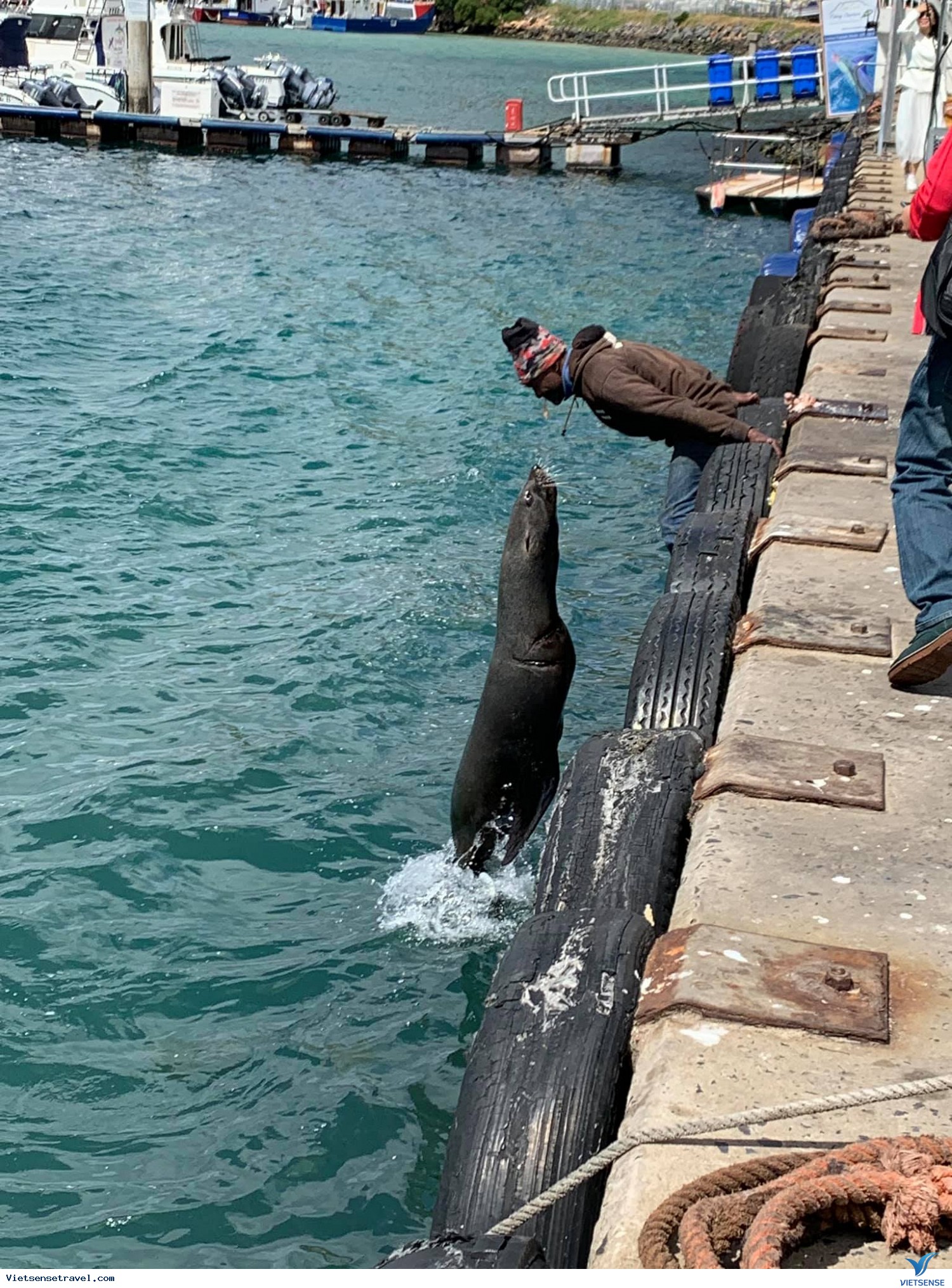 Cape Town