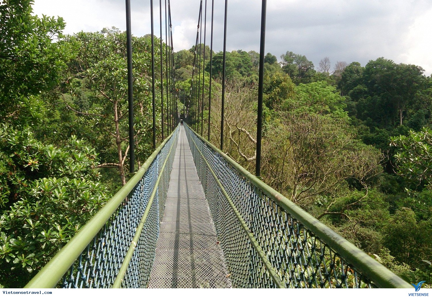 MacRitchie Reservoir MacRitchie Reservoir