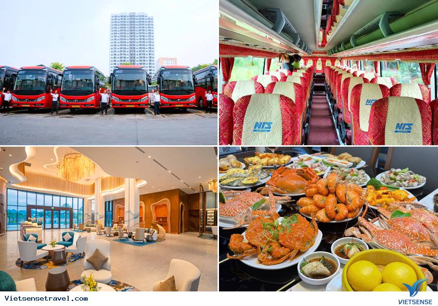 Tour du lịch doanh nghiệp biển hè chuyên nghiệp, giá tốt nhất - Ảnh 3