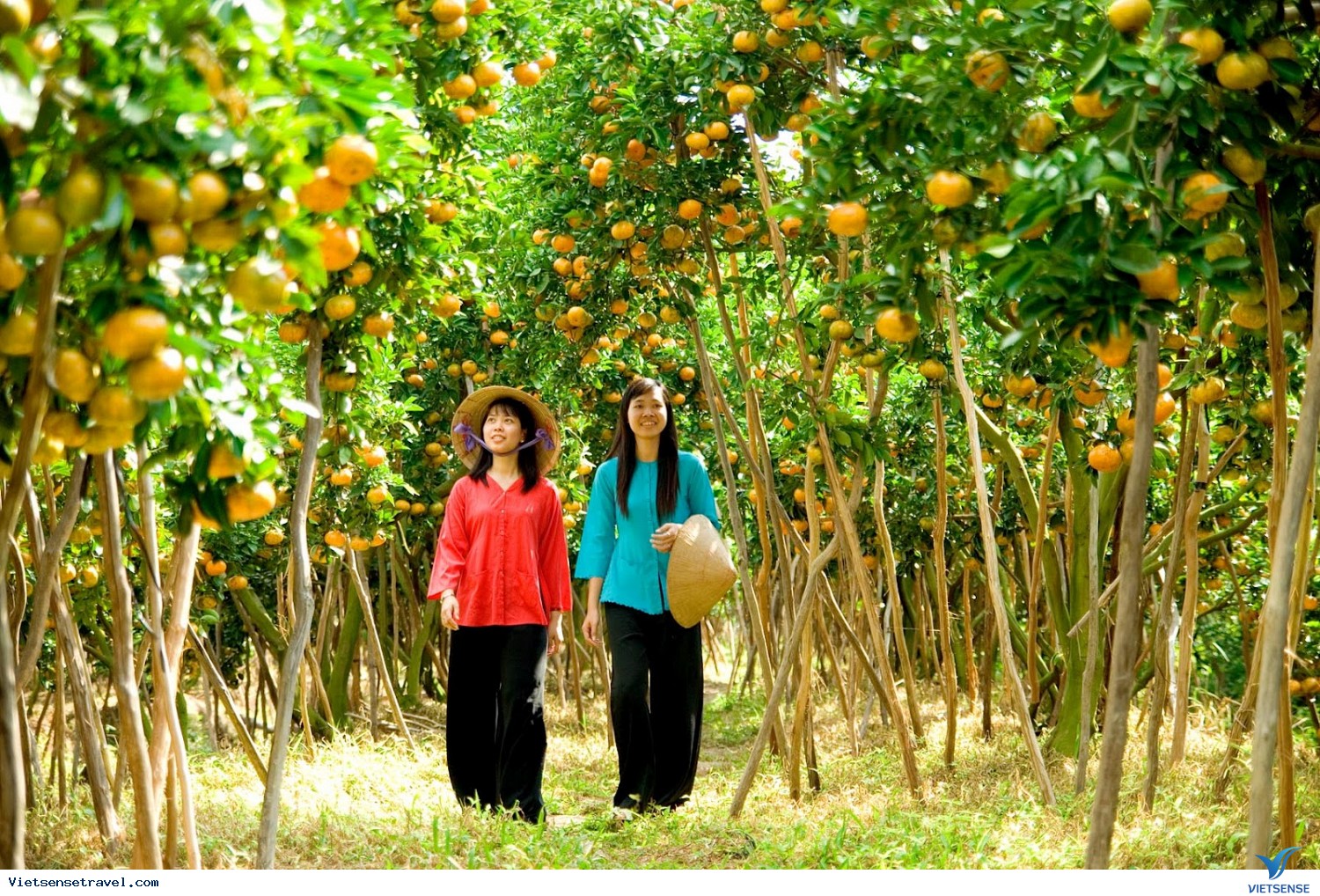 CHỢ NỔI CÁI RĂNG - CẦN THƠ - HÀ NỘI