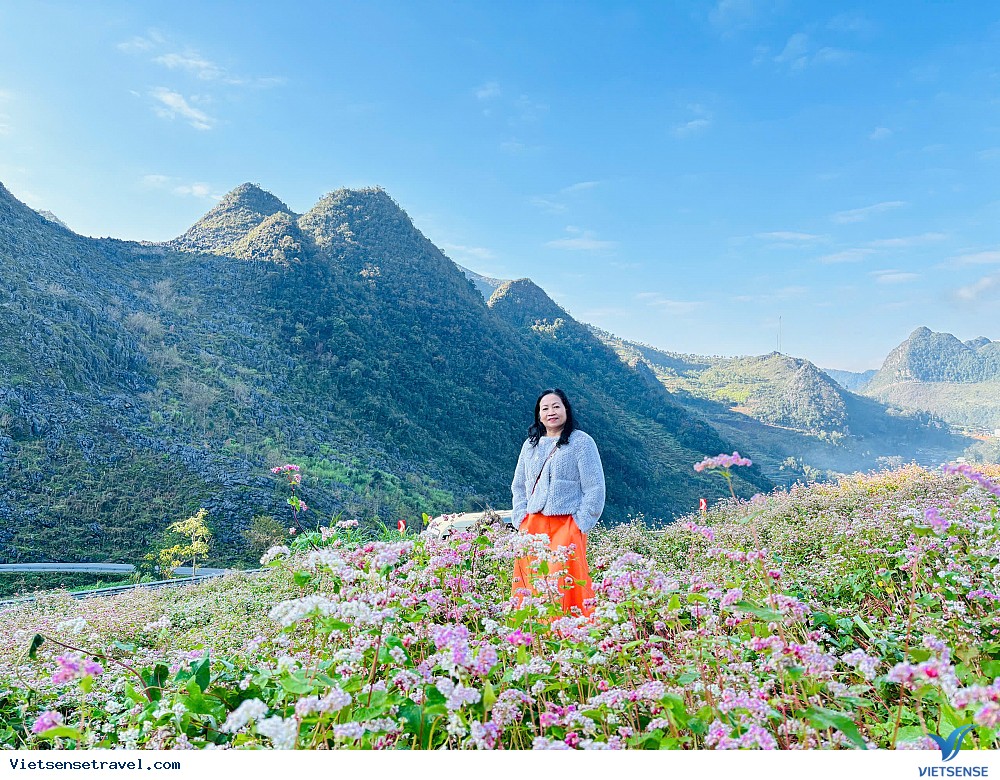 Choáng ngợp trước vẻ đẹp của hoa tam giác mạch và núi rừng xanh biếc