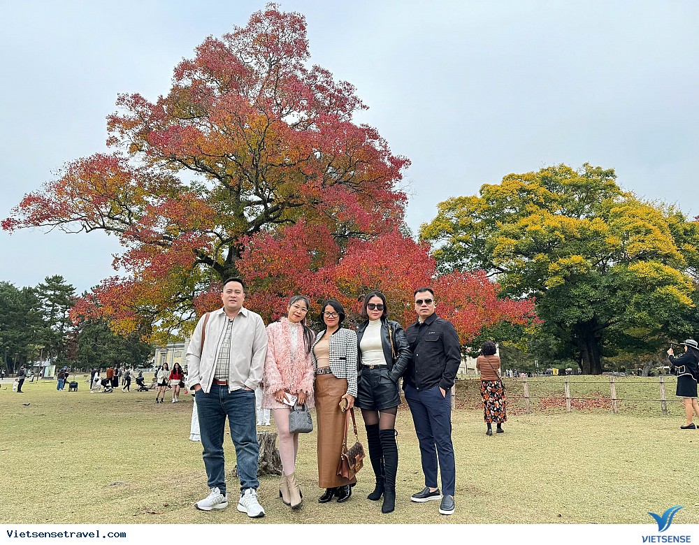 Chuẩn bị kỹ lưỡng để có chuyến du xuân trọn vẹn trên hành trình khám phá mới Chuẩn bị kỹ lưỡng để có chuyến du xuân trọn vẹn trên hành trình khám phá mới