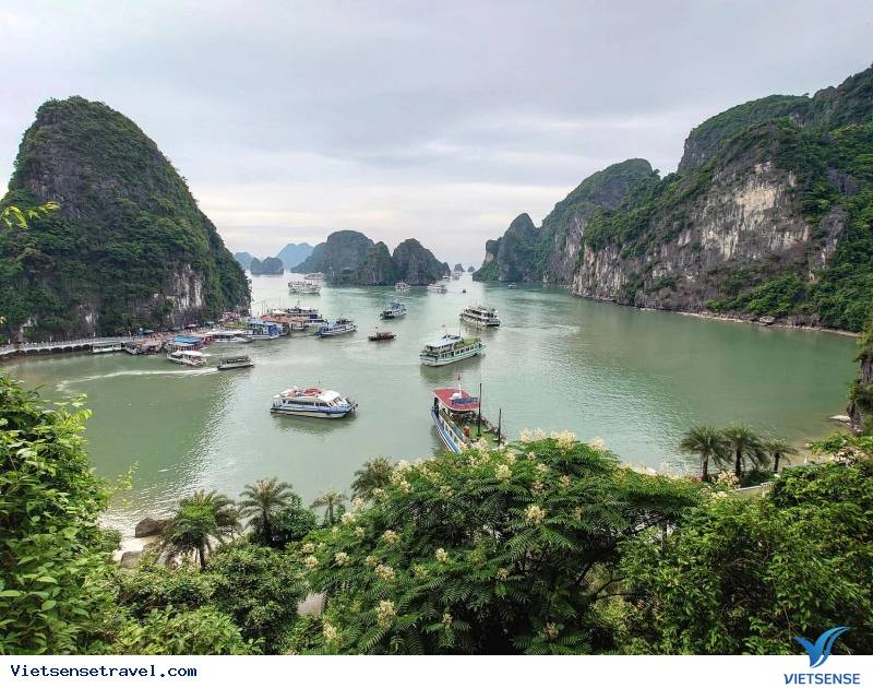 Có nhiều điểm tham quan hấp dẫn khi đến với Bãi Cháy