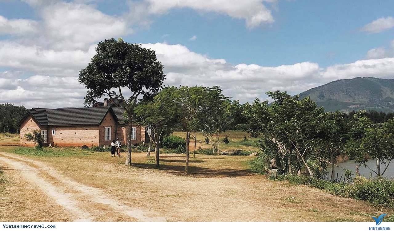 Đà Lạt Milk Farm mở cửa khi nào?
