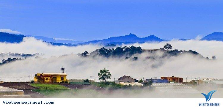 Đà Lạt lập đông - Mùa của sương và mây