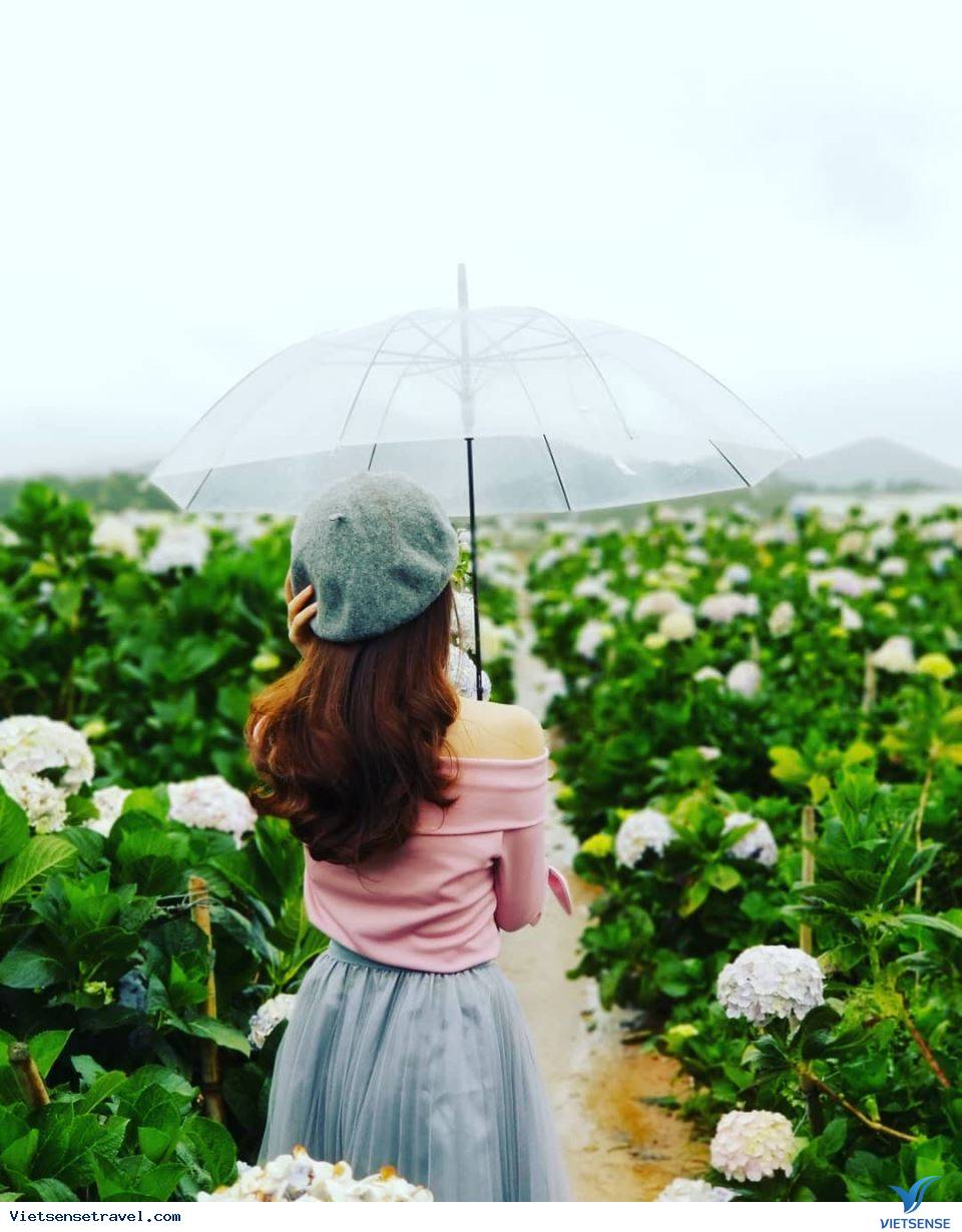 Thời tiết Đà Lạt mùa mưa