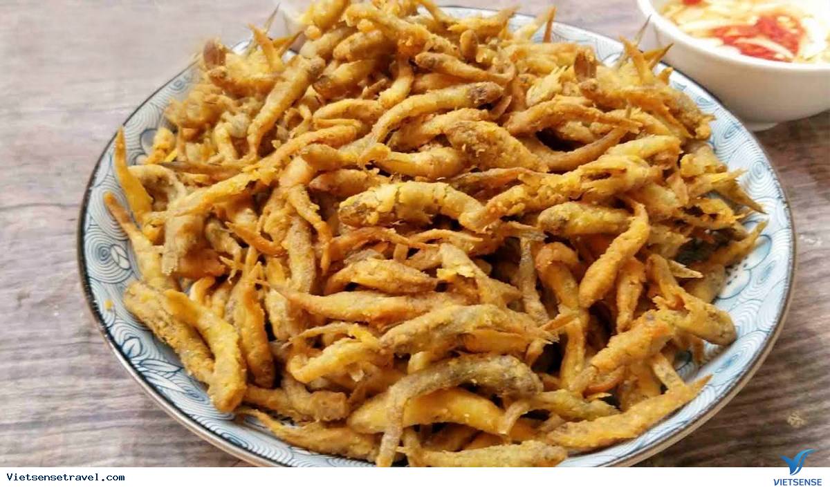 Cá bống suối Tam Đảo