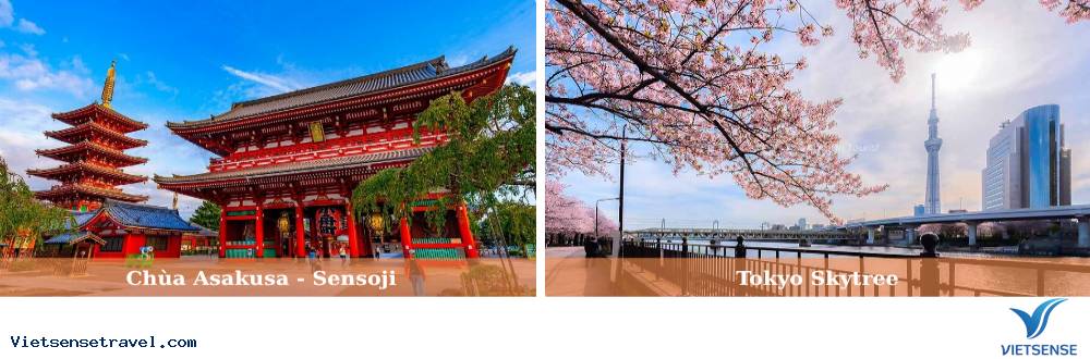 Di chuyển Fuji Area đi Tokyo và Narita - Ảnh 1