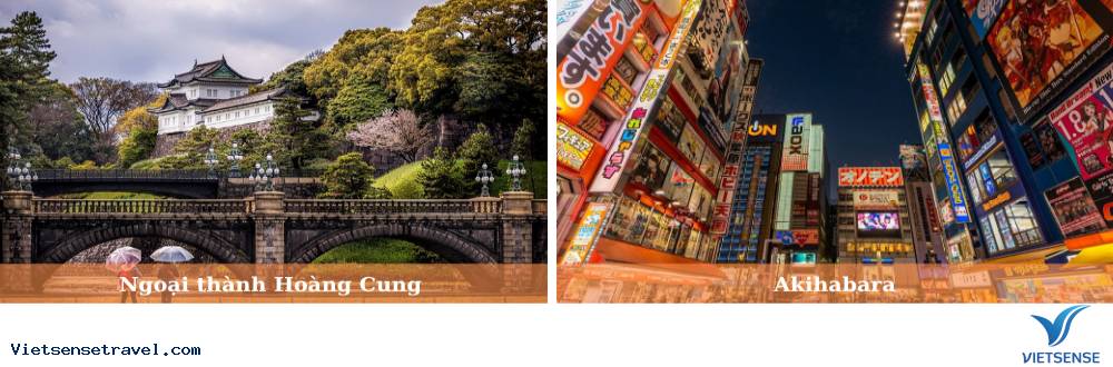 Di chuyển Fuji Area đi Tokyo và Narita - Ảnh 2