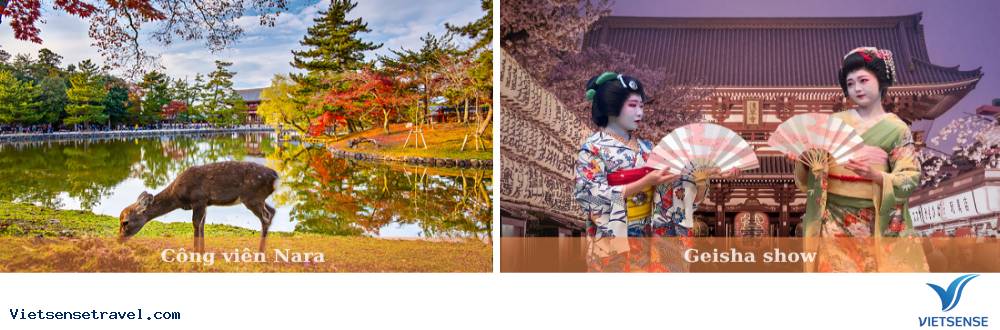 Di chuyển từ Nagoya - Nara - Osaka - Ảnh 1