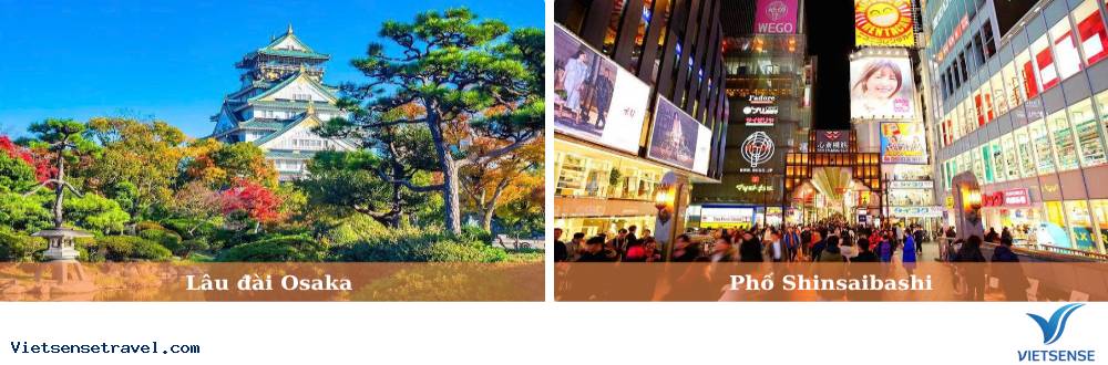 Di chuyển từ Nagoya - Nara - Osaka - Ảnh 2