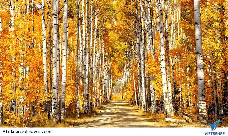Cảnh sắc nước Nga trong tiết trời thu