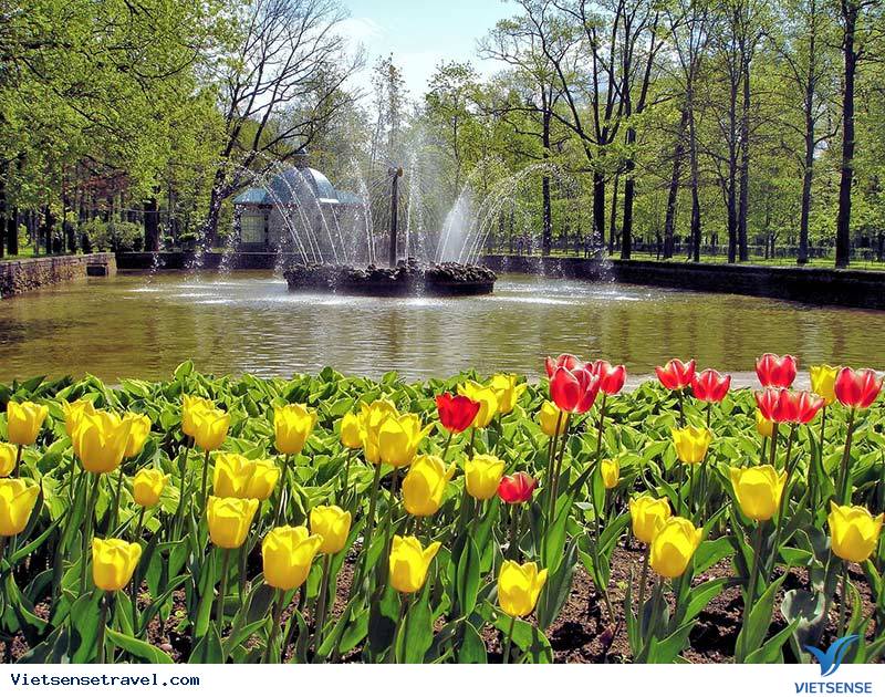 Nước Nga bừng sức sống với hoa tulip nở rộ khắp công viên