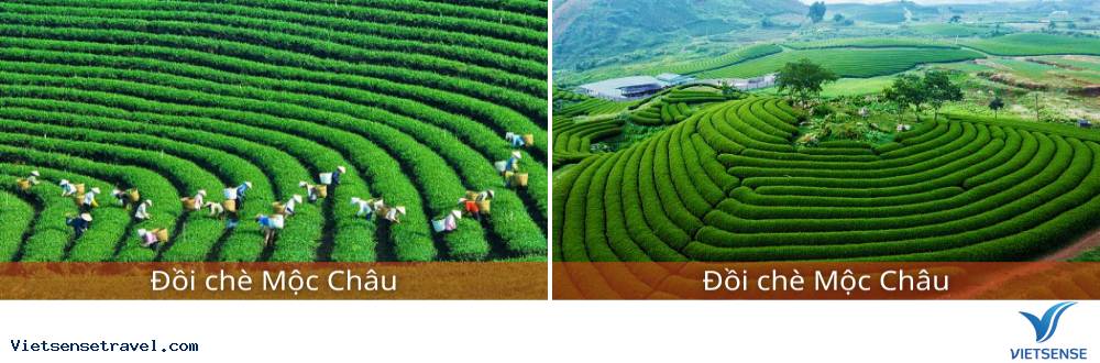 Điện Biên - Sơn La - Đồi Chè Mộc Châu - Hà Nội Điện Biên - Sơn La - Đồi Chè Mộc Châu - Hà Nội