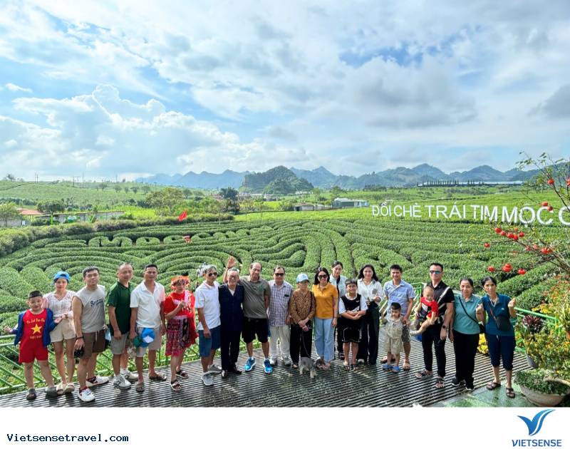 Đồi chè Mộc Châu