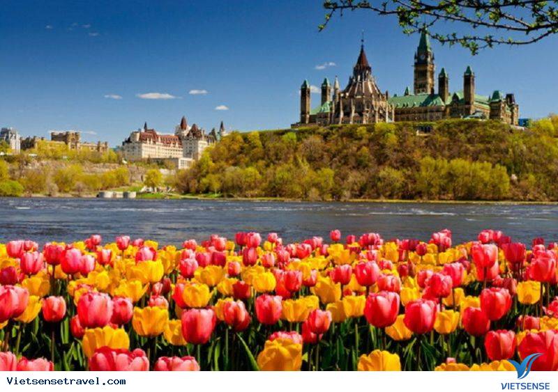 Du lịch Caravan tại Nga vào mùa xuân tràn đầy sức sống