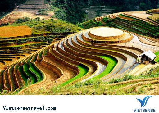 Du Lịch Hà Giang Tháng 5 Có Gì Đẹp?