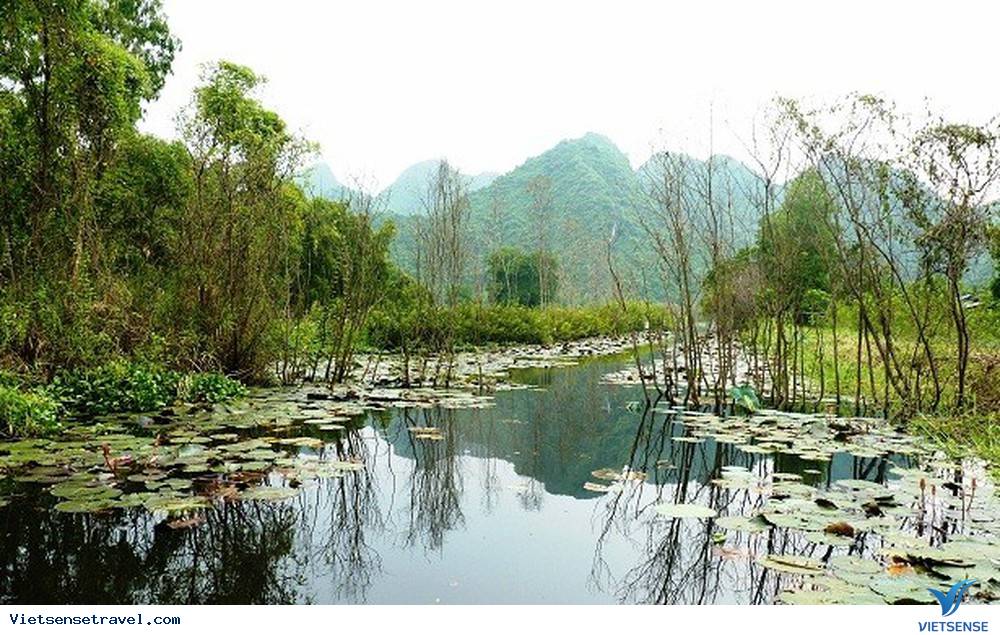 làng Yến Vỹ 