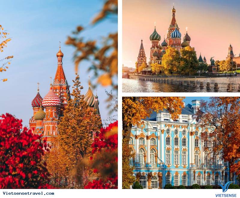 Moscow mùa thu nổi bật với sắc lá vàng