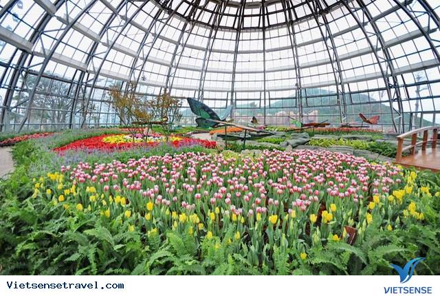 các địa điểm ngắm hoa - Ảnh 5 các địa điểm ngắm hoa - Ảnh 5