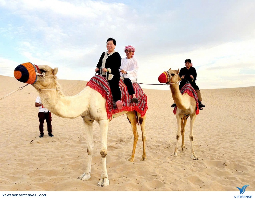Đoàn du lịch Dubai - Ảnh 5