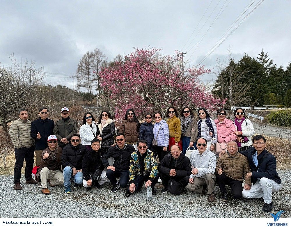 Ghé Nhật Bản đầu năm, bạn sẽ có cơ hội ngắm hoa mai, hoa anh đào Ghé Nhật Bản đầu năm, bạn sẽ có cơ hội ngắm hoa mai, hoa anh đào