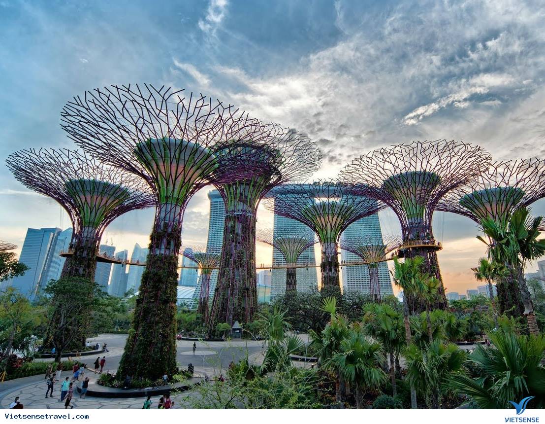 Vườn thực vật Garden by the Bay: 