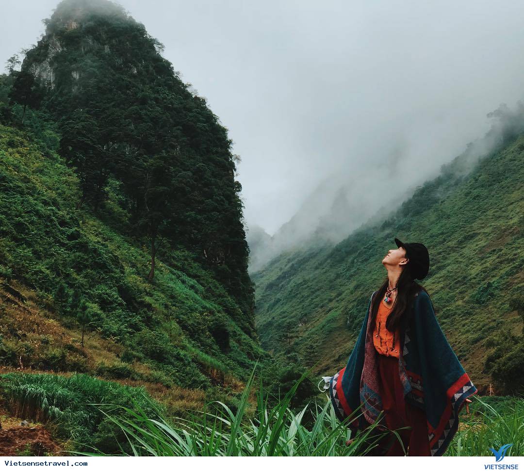 Đồi thông Yên Minh, Hà Giang
