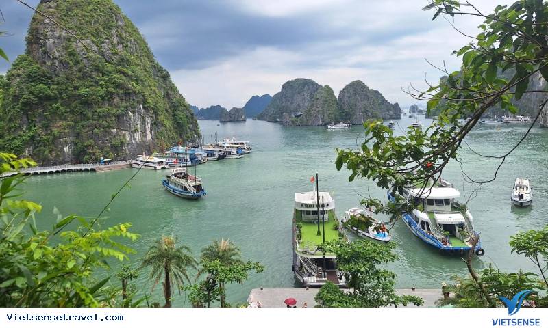 Hạ Long gây ấn tượng với hàng trăm hòn đảo lớn nhỏ, kỳ vĩ