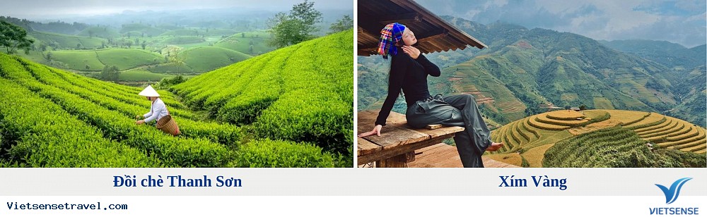 Hà Nội - Đồi chè Thanh Sơn - Bắc Yên - Xím Vàng Hà Nội - Đồi chè Thanh Sơn - Bắc Yên - Xím Vàng