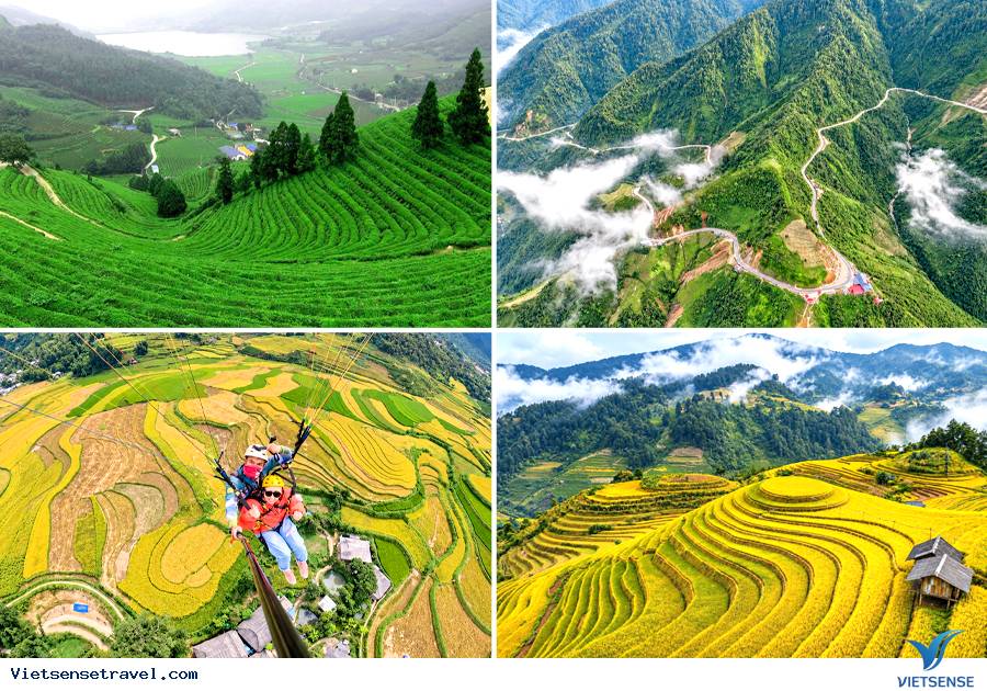 Hà Nội - Đồi chè Thanh Sơn - Đèo Khau Phạ - Đồi Mâm Xôi (Ăn trưa, tối) - Ảnh 3