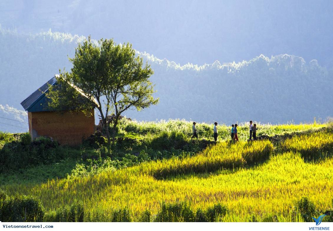 Hà Nội - Lào Cai - Y Tý - Lảo Thẩn - Sapa - Hà Nội Thứ 6 hàng tuần 3N2D Hà Nội - Lào Cai - Y Tý - Lảo Thẩn - Sapa - Hà Nội Thứ 6 hàng tuần 3N2D