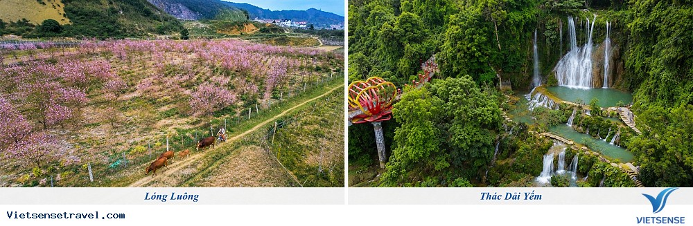 Hà Nội - Mộc Châu - Thác Dải Yếm - Thung lũng hoa - Ảnh 1 Hà Nội - Mộc Châu - Thác Dải Yếm - Thung lũng hoa - Ảnh 1