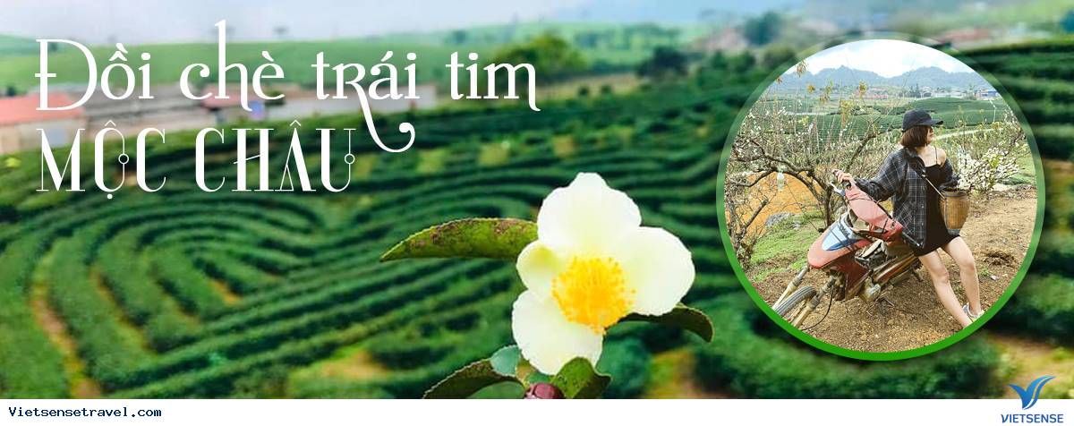 Hà Nội - Mộc Châu - Vườn Mận Bản Hôm Chiềng Hắc - Sơn La