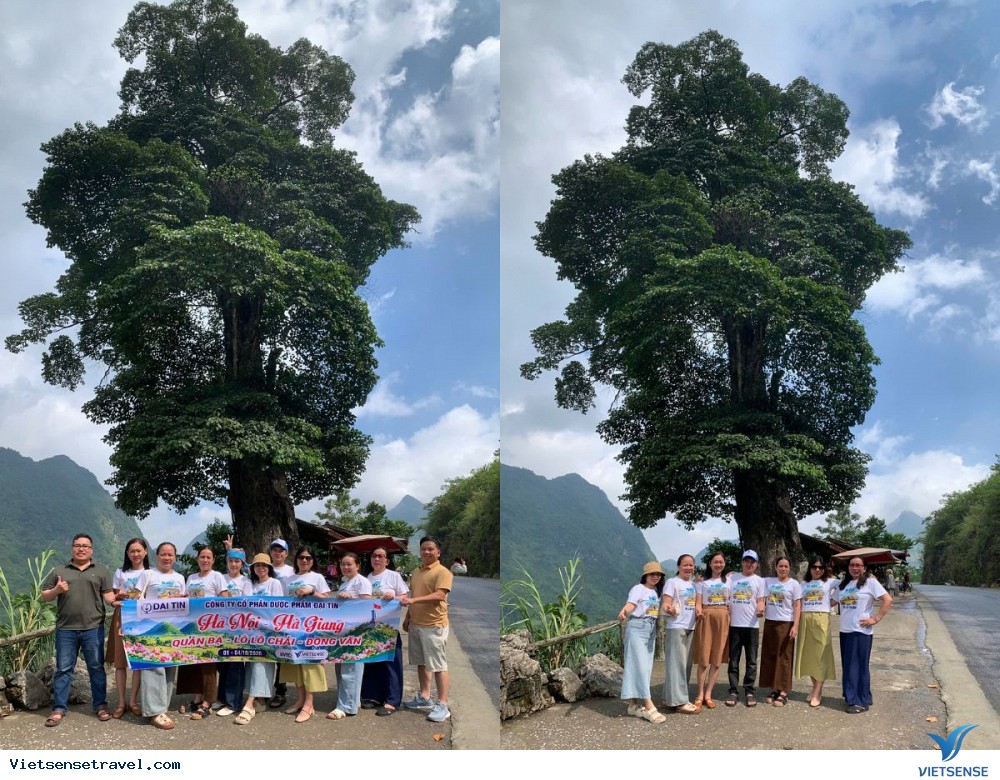 Hành trình khám phá Hà Giang 4N3Đ cùng Dược phẩm Đại Tín - Ảnh 3 Hành trình khám phá Hà Giang 4N3Đ cùng Dược phẩm Đại Tín - Ảnh 3