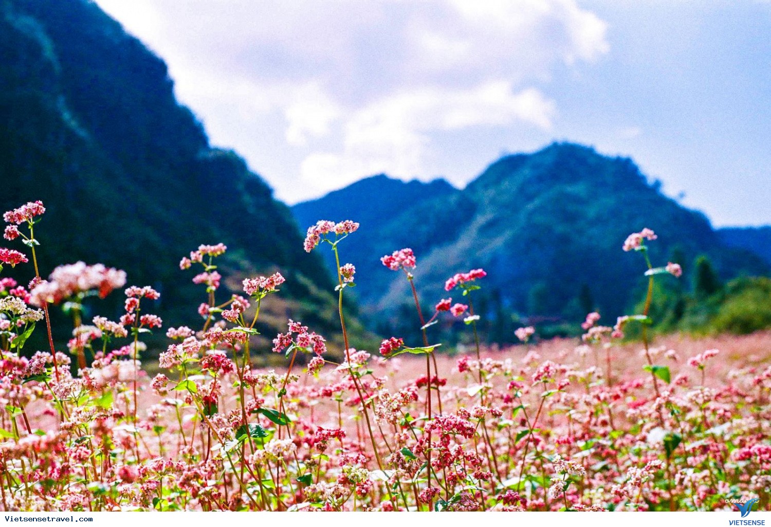 Hà Giang tháng 12, tháng10