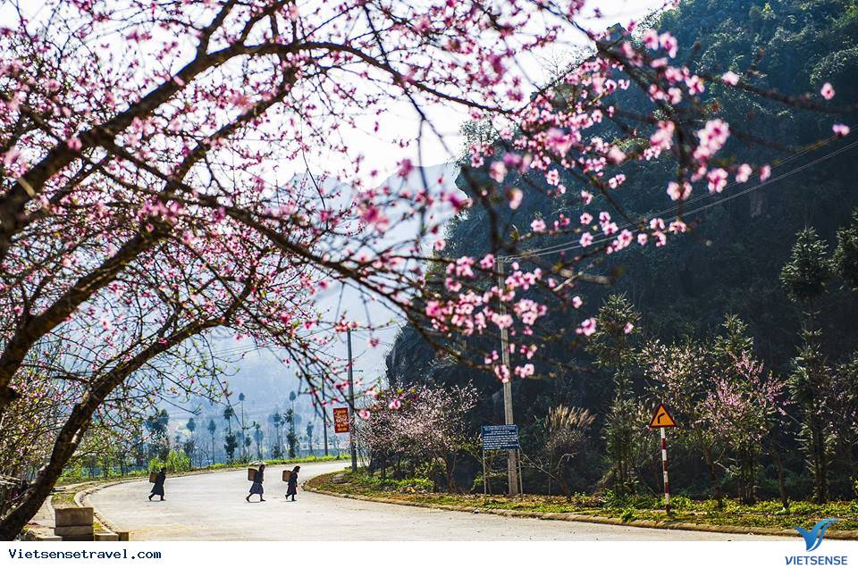 Hà Giang tháng 1