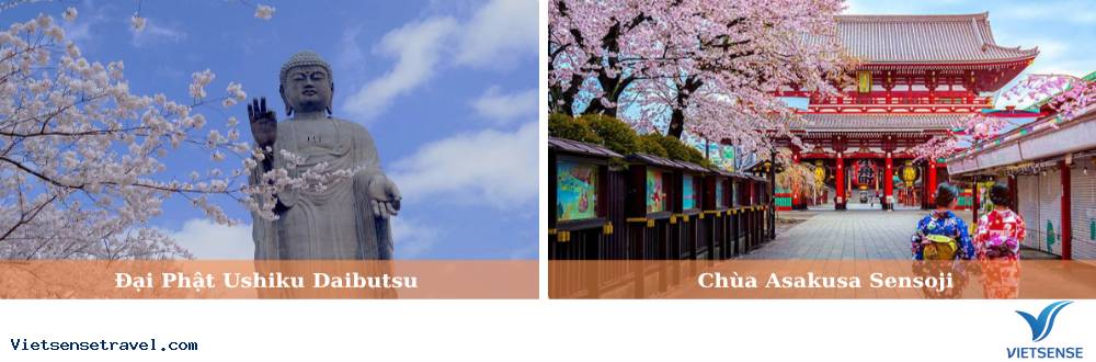 Khám phá trọn vẹn Tokyo đa sắc màu - Ảnh 1