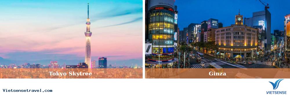 Khám phá trọn vẹn Tokyo đa sắc màu - Ảnh 2