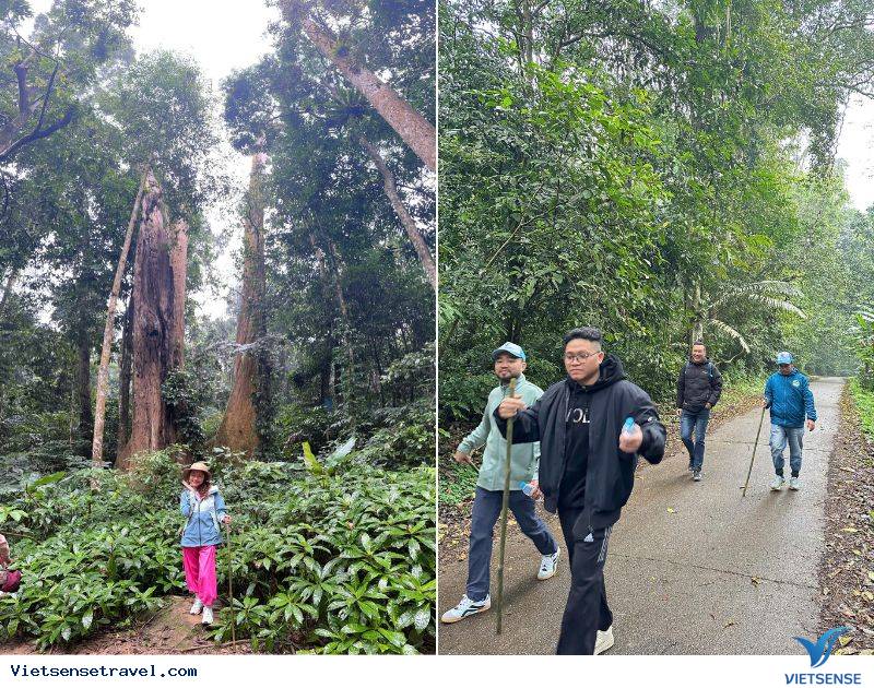 Cúc Phương - Ninh Bình: Hành trình tổng kết ý nghĩa của TNG - Ảnh 6