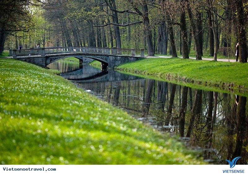 Công viên Catherine nổi bật với không gian xanh mát