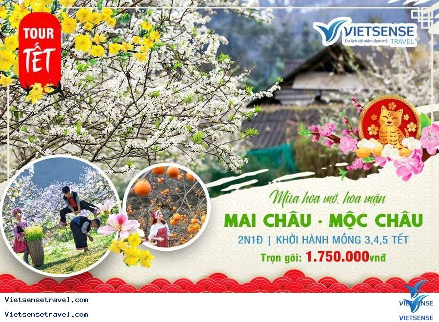 Lịch khởi hành tour Tây - Đông Bắc tết âm lịch 2023