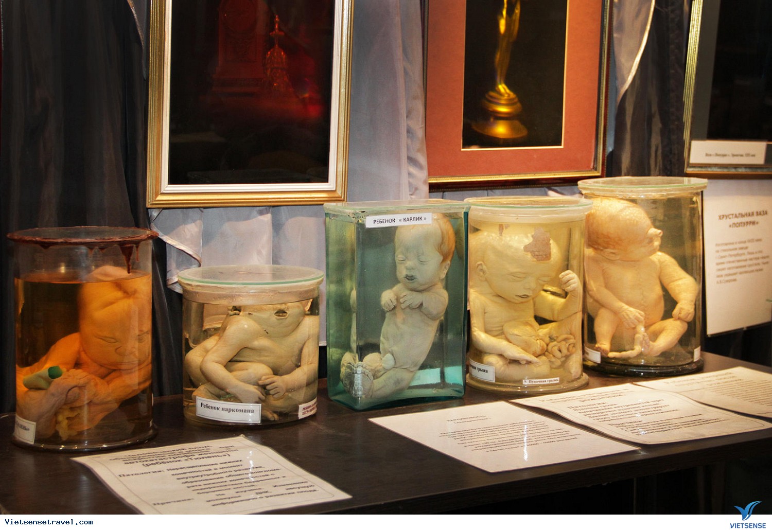  bộ sưu tập Bảo tàng Kunstkamera