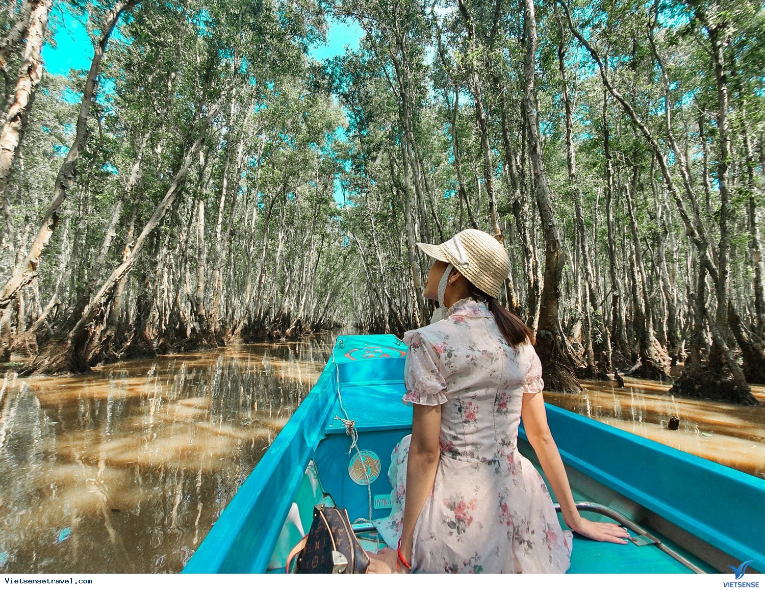rừng tràm Trà Sư