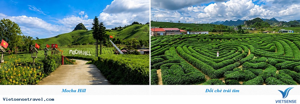 Mộc Châu - Mocha Hill - Đồi Chè Trái Tim - Hà Nội Mộc Châu - Mocha Hill - Đồi Chè Trái Tim - Hà Nội